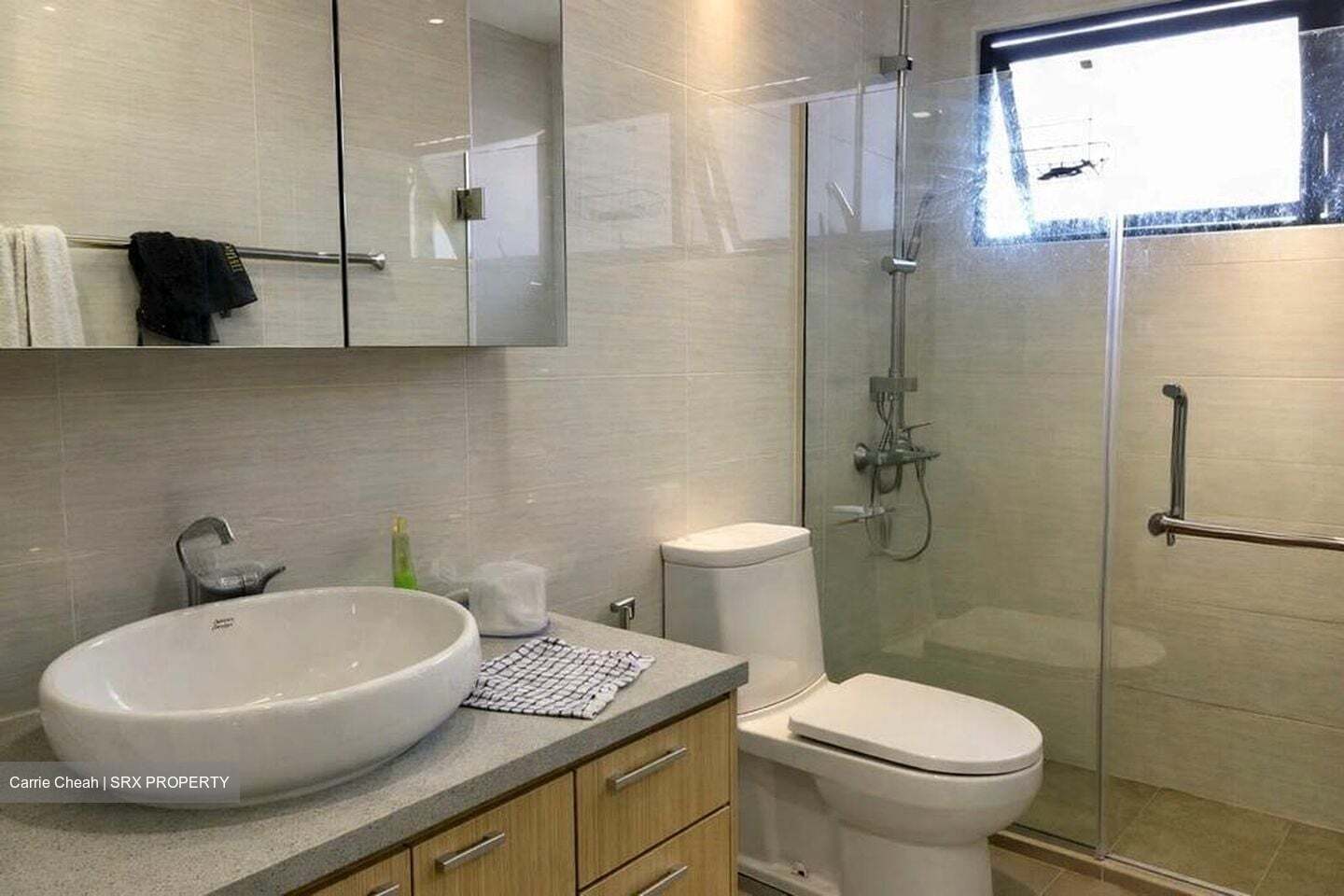 Dover Parkview (D5), Condominium #514685511